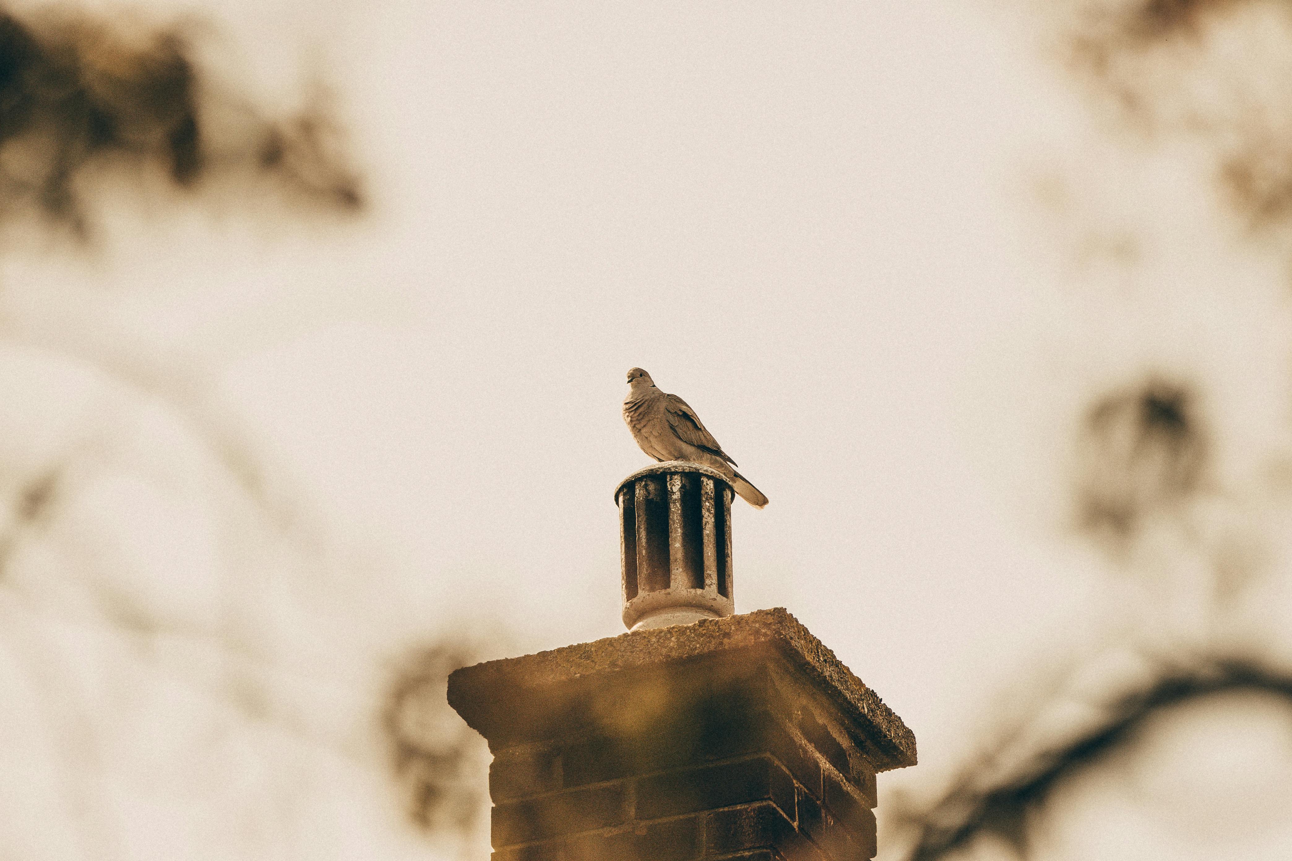 Expert Chimney Cap Installation in Kendall, Florida